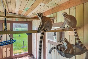 Wildlife Sanctuary On-site: Modern Webster Home!