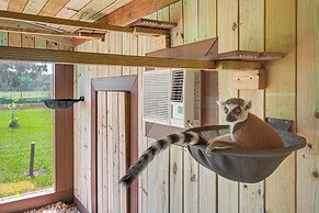 Wildlife Sanctuary On-site: Modern Webster Home!