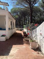 Splendid Detached Villa, Near the sea