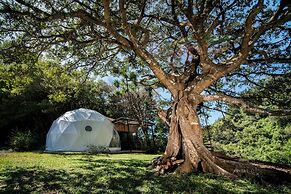 Nangú Glamping Experience