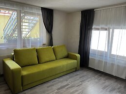 Aki Gray Apartment Serene Oasis