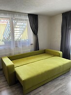 Aki Gray Apartment Serene Oasis