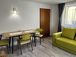 Aki Gray Apartment Serene Oasis