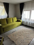 Aki Gray Apartment Serene Oasis