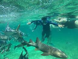 Villas De Isla Bonita - B3