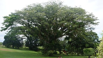 FINCA EL PÓRTAL