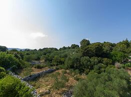 Apartments Villa Olea