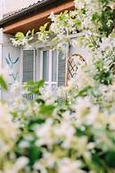 Tomato Urban Retreat