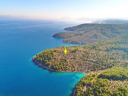 Green Area Stone House