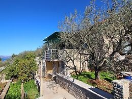 Green Area Stone House