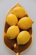 Grzybowska Elegant Apartment by Renters