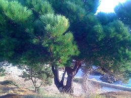 Apartments Villa Pelegrin