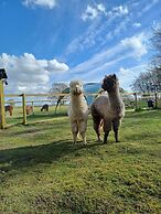 The Botanist - Luxury Cabin With Hot Tub Near York