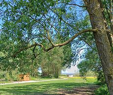 The Botanist - Luxury Cabin With Hot Tub Near York