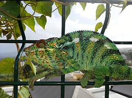 Hôtel le Soleil Couchant