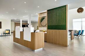 Element Cartersville