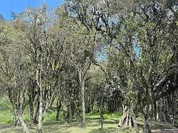 Vila Vert - Rancho Queimado - SC