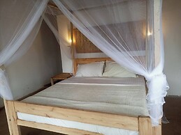 Little Monkey Camp