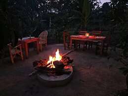 Little Monkey Camp