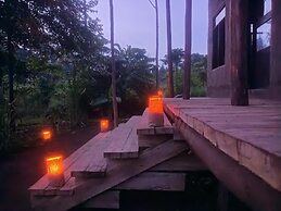 Little Monkey Camp