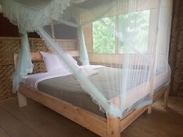 Little Monkey Camp