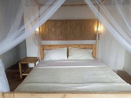 Little Monkey Camp