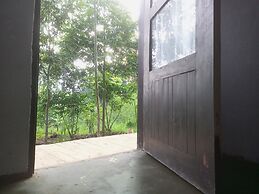Little Monkey Camp