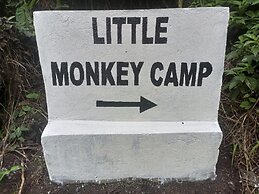 Little Monkey Camp