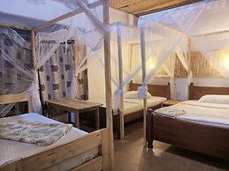 Little Monkey Camp