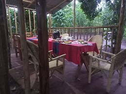 Little Monkey Camp