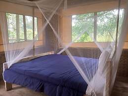Little Monkey Camp