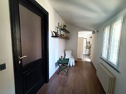 Delle Erbe The Nightlife