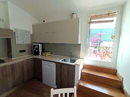 Delle Erbe The Nightlife