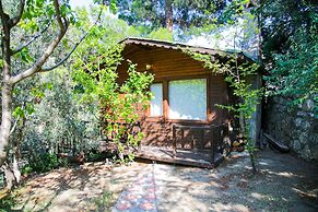 Dusler Vadisi Kazdaglari