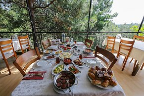 Dusler Vadisi Kazdaglari