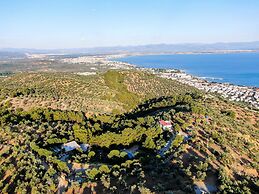 Dusler Vadisi Kazdaglari