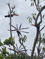 Pousada Quintal das Estrelas