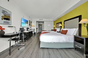 Stunning 12th Floor Studio in the Grove