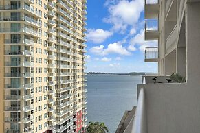 Zeus Sanctuary in Brickell Miami