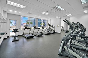 Zeus Sanctuary in Brickell Miami