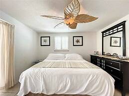 Enjoy Sunset with Dolphin and Manatee