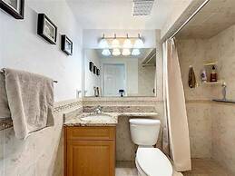 Enjoy Sunset with Dolphin and Manatee