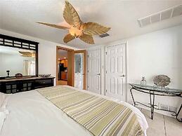 Enjoy Sunset with Dolphin and Manatee