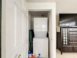 Enjoy Sunset with Dolphin and Manatee