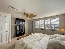 Enjoy Sunset with Dolphin and Manatee