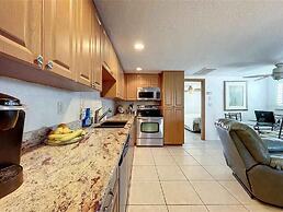 Enjoy Sunset with Dolphin and Manatee