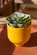 Casa Checha in Candelaria