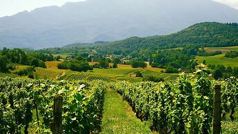 Domaine Carrel & Senger