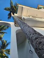 Two Palms