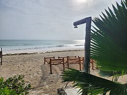 Two Palms